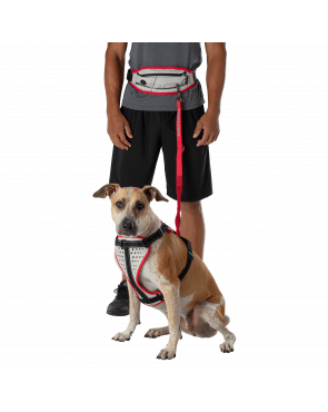 Nathan K9 Series Runner's Waistpack With Leash