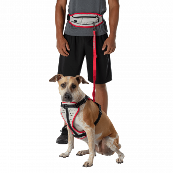 Nathan K9 Series Runner's Waistpack With Leash