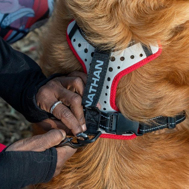 Nathan K9 Dog Harness