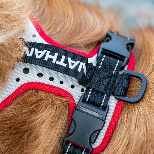 Nathan K9 Dog Harness