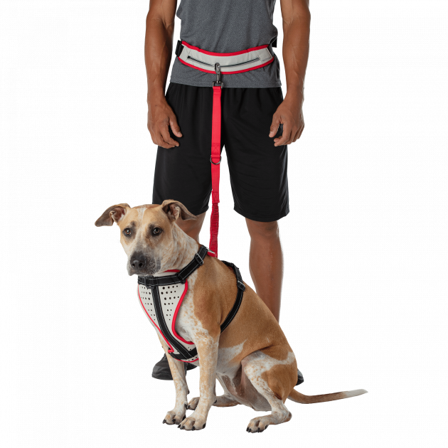 Nathan K9 Series Runner&#039;s Waistbelt With Leash